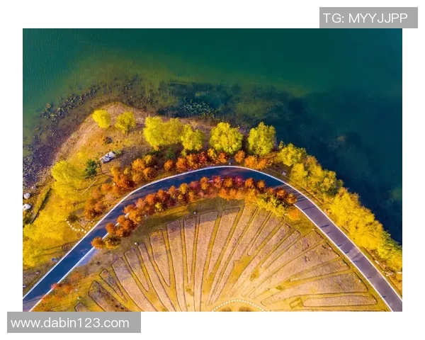 14年卡托比赛-赛烽渐起的璀璨之路 置身于繁华景象之中的纪念篇章—四海俊杰共聚卡托 记十四届卡托比赛之旅-14年卡托比赛